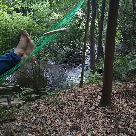 Quinta Das Aguias Aveiro Bagian luar foto