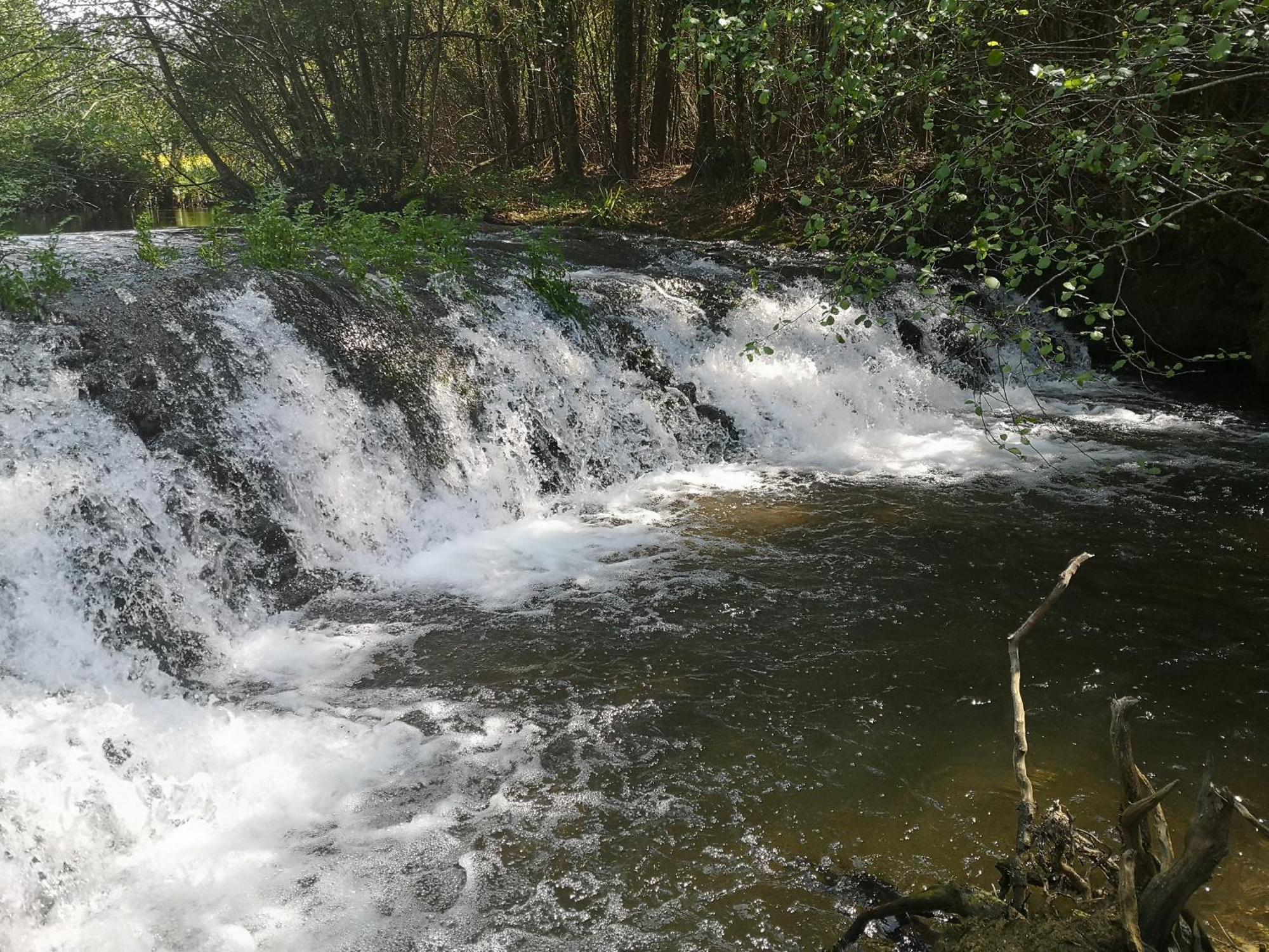 Quinta Das Aguias Aveiro Bagian luar foto