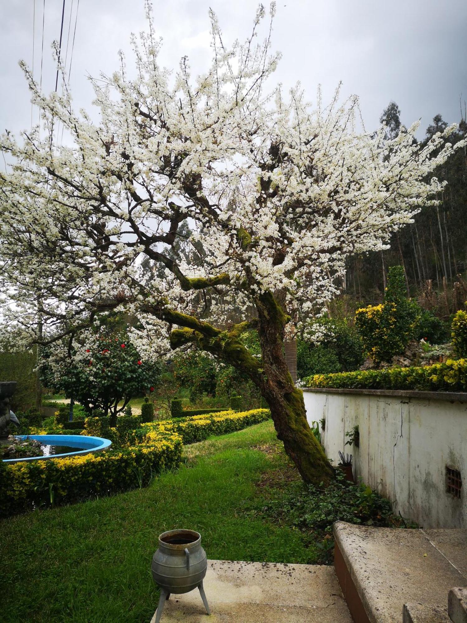 Quinta Das Aguias Aveiro Bagian luar foto