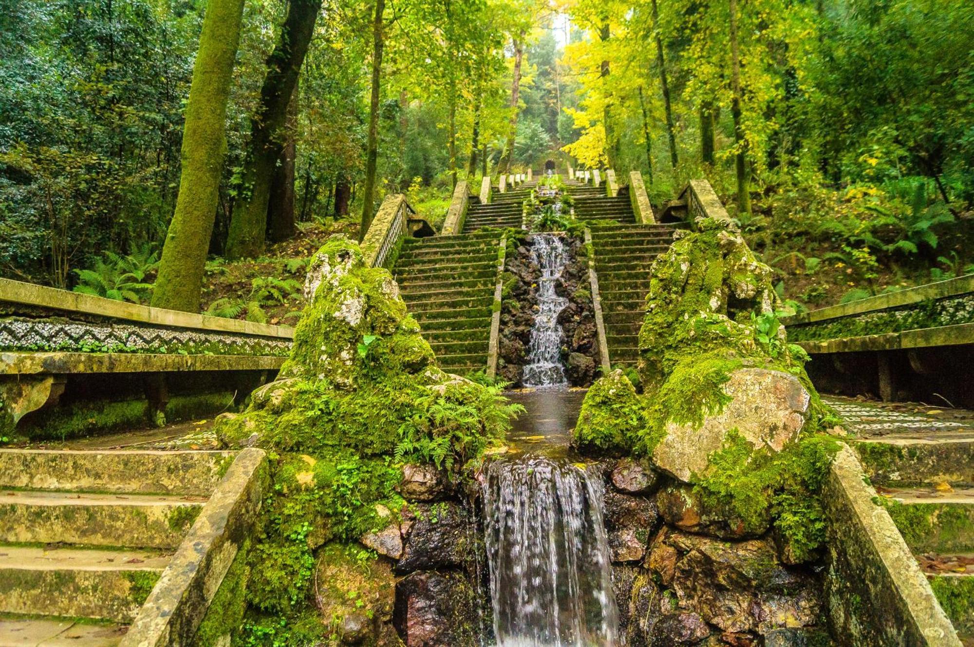 Quinta Das Aguias Aveiro Bagian luar foto