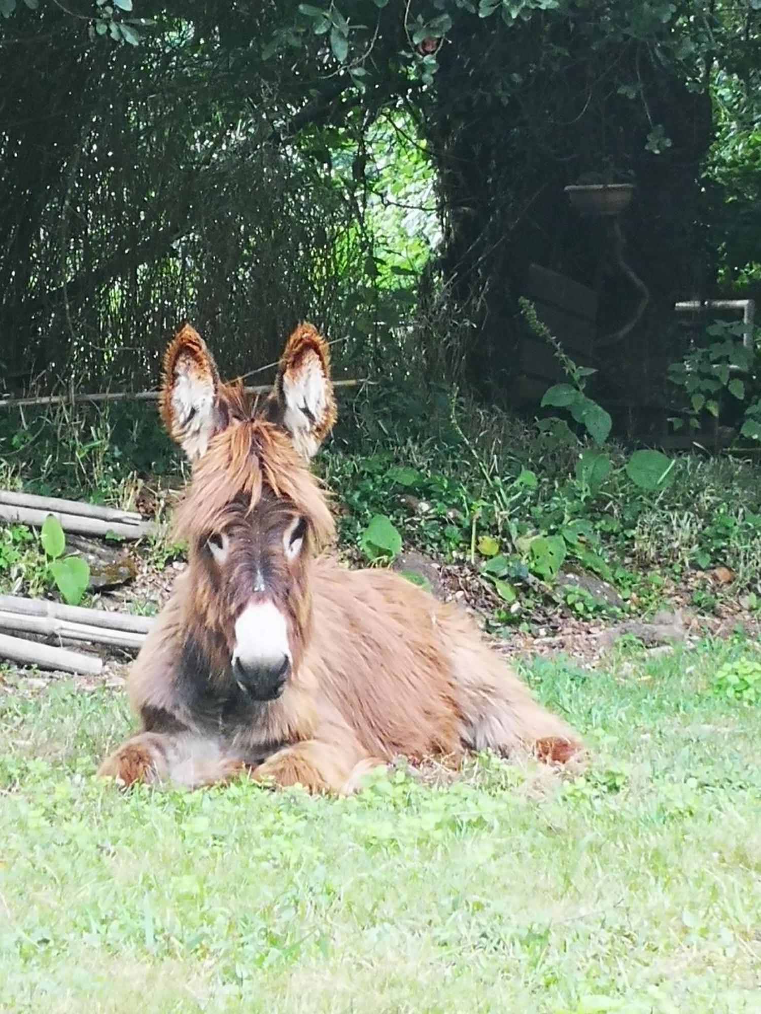 Quinta Das Aguias Aveiro Bagian luar foto