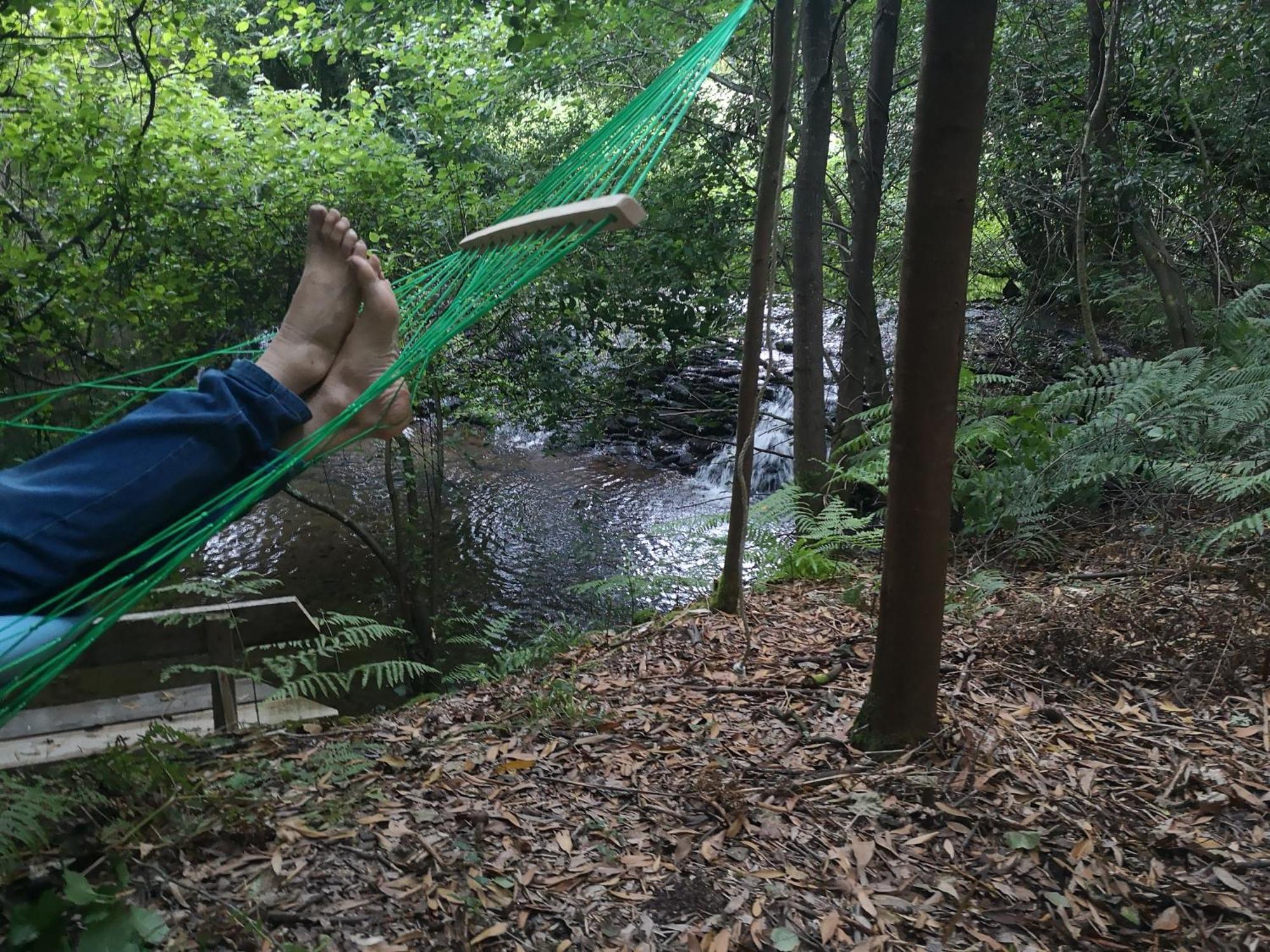 Quinta Das Aguias Aveiro Bagian luar foto