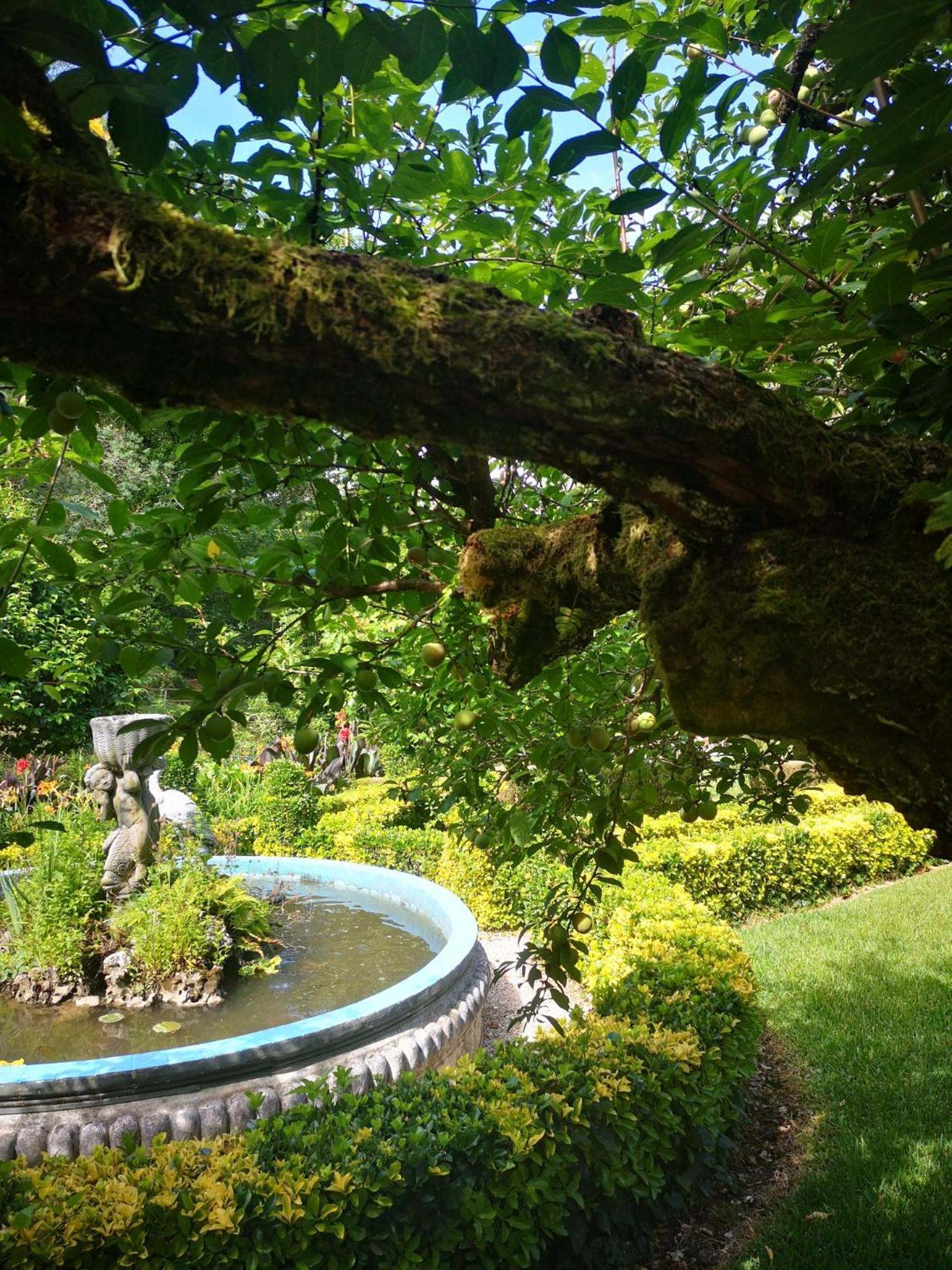 Quinta Das Aguias Aveiro Bagian luar foto