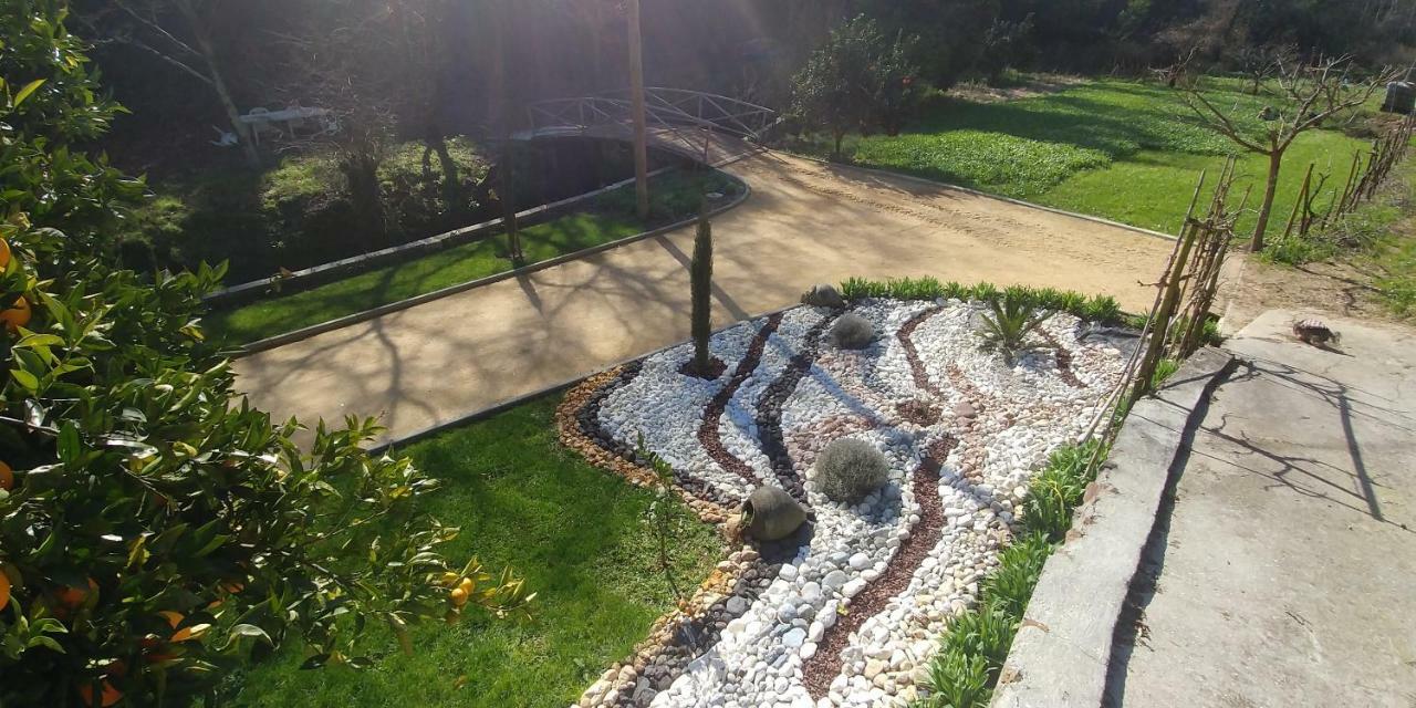 Quinta Das Aguias Aveiro Bagian luar foto